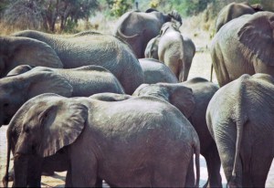 daily-pe-no-heads-unfin