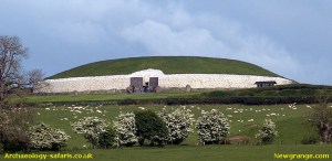 newgrange-safaris