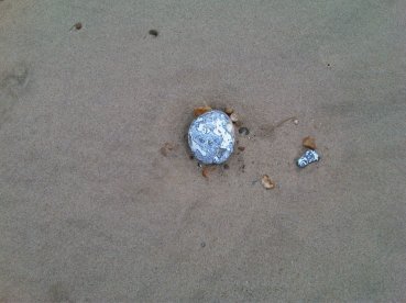 Pebble on the Beach