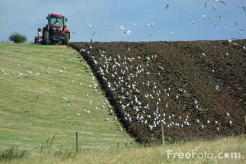Ploughing