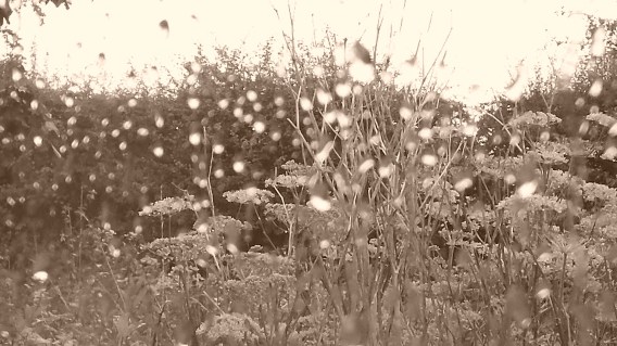 Rain in Sepia