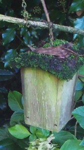 Birdhouse