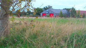 Barn with Red Doors