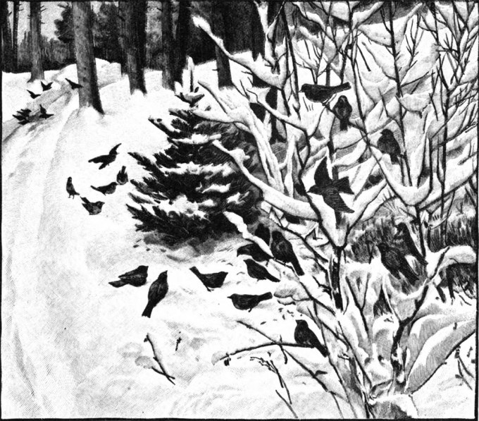 The Fir Tree Stave 2