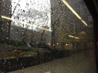 Reflections on a Train