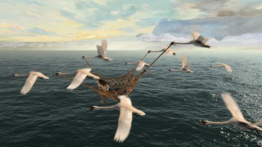 The Wild Swans Stave 5