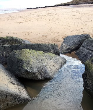 WP_20160207_13_01_46_Pro (2)