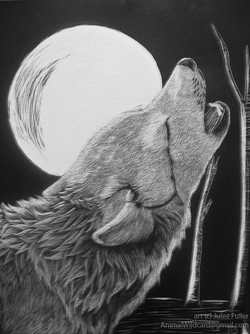 crying_wolf_by_animalodyssey