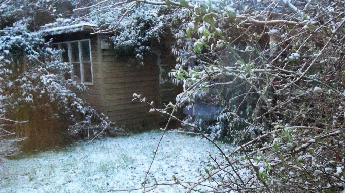 Early Morning Snow 2