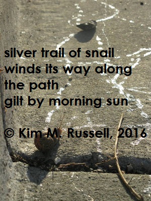 Silver Trail of Morning haiga