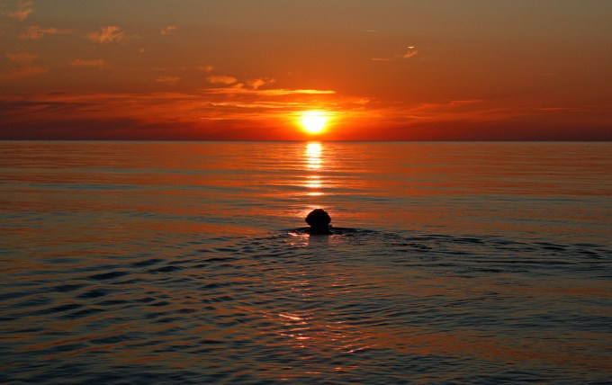 Swimming on a red Lake