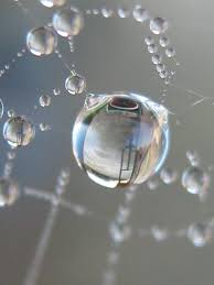 A Spider's Crystal