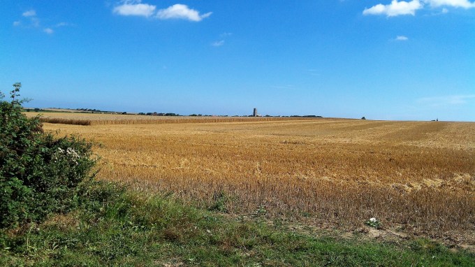 Mountainous Yearning