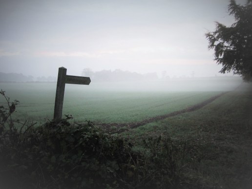 Norfolk Mist (2)