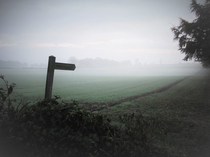Norfolk Mist (2)