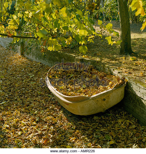 boat-in-dry-river-bed-in-autumn-with-leaves-and-trees-at-winterbourne-amr226