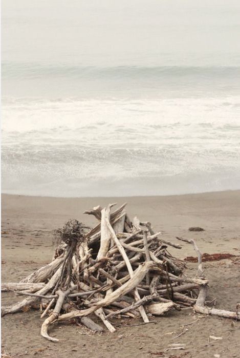 driftwood