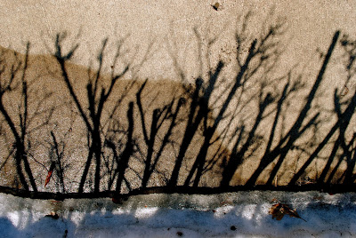 from-a-different-sun-1