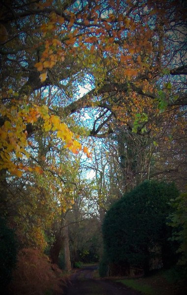 The Secnt of an Autumn Embrace