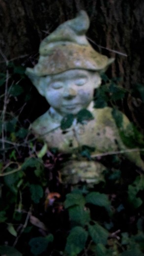 the-gnome-in-my-garden
