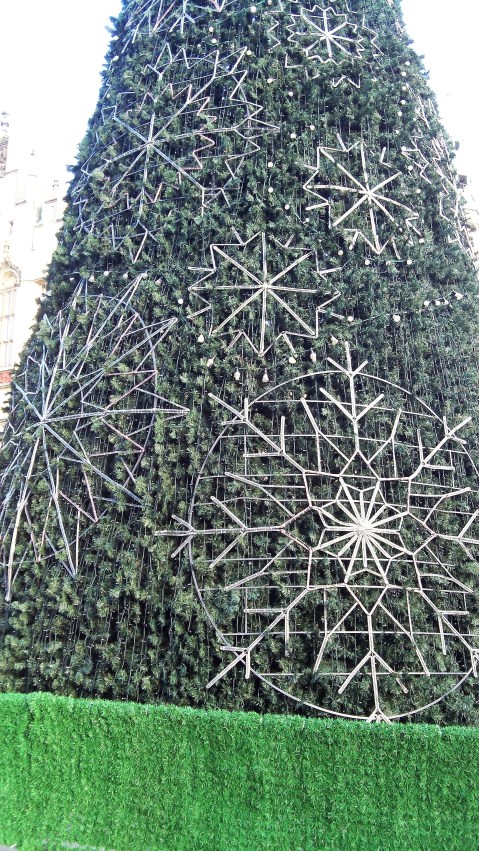 christmas-tree-in-rynek-square