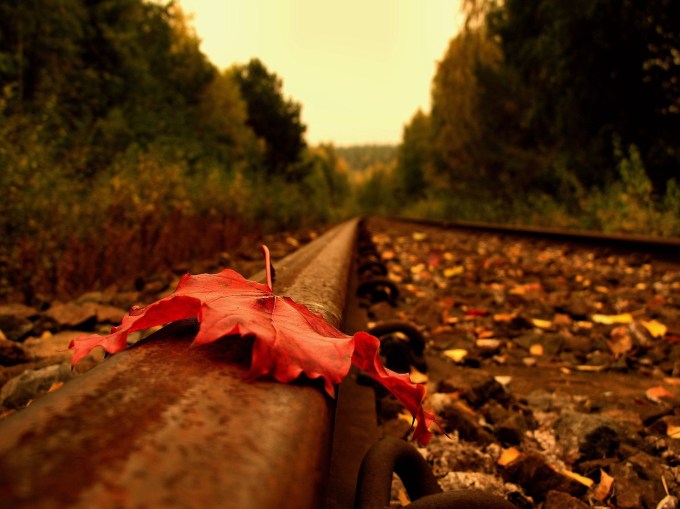 Dry_Leaf_on_Railway_Track.jpg