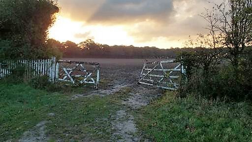 open-gate-at-sunrise