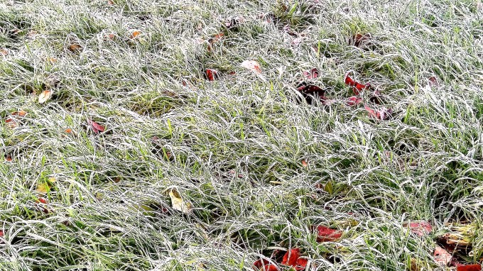 silver-winter-morning