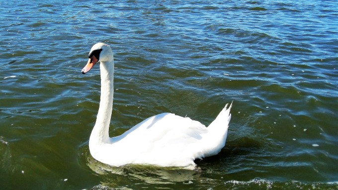 snow-on-a-summers-day