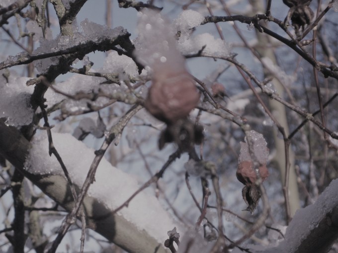 outside-my-front-door