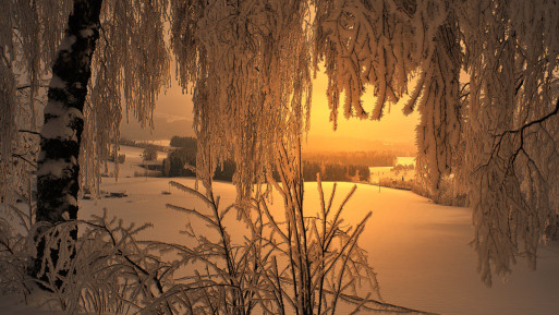 Wonderful Dawn Winter Scene Trees Valley Farms Desktop Images