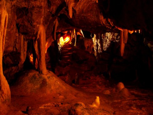 Growing Potatoes on Mars