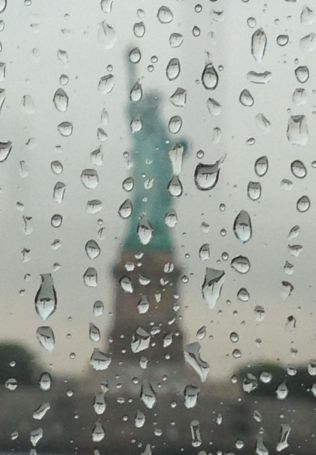 American Sentences in the Rain