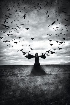 In Just One Sentence