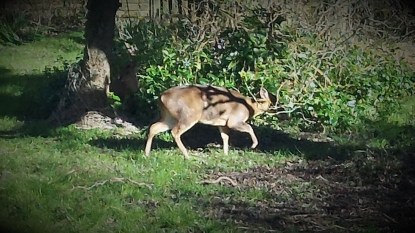 Sunday Morning Inspiration