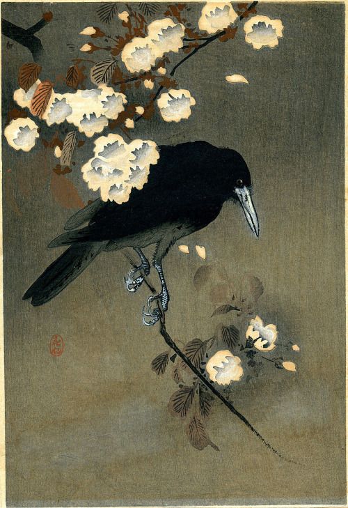 crow and plum blossom