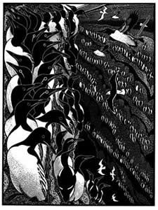Loomery of Guillemots by Colin See-Paynotn