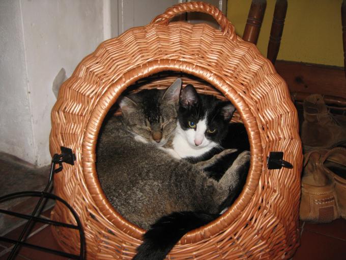 Hiding from the Cold