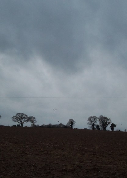 Snapshot of Christmas Day