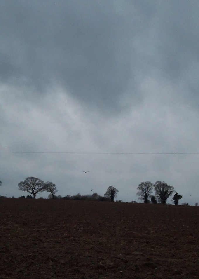 Snapshot of Christmas Day