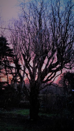 Shepherd's Warning 3