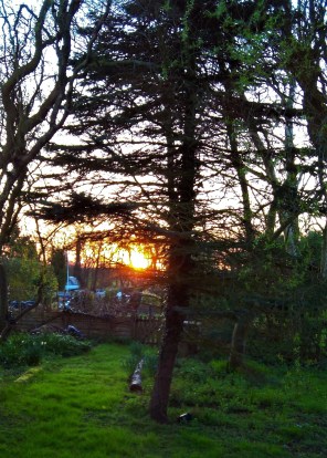 Momenti n a Dew Drop