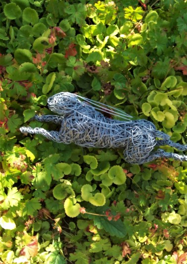 Finding the Way Day 6