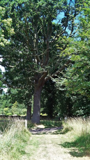 Finding the Way Day 7