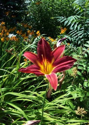 Finding the Way Day 9