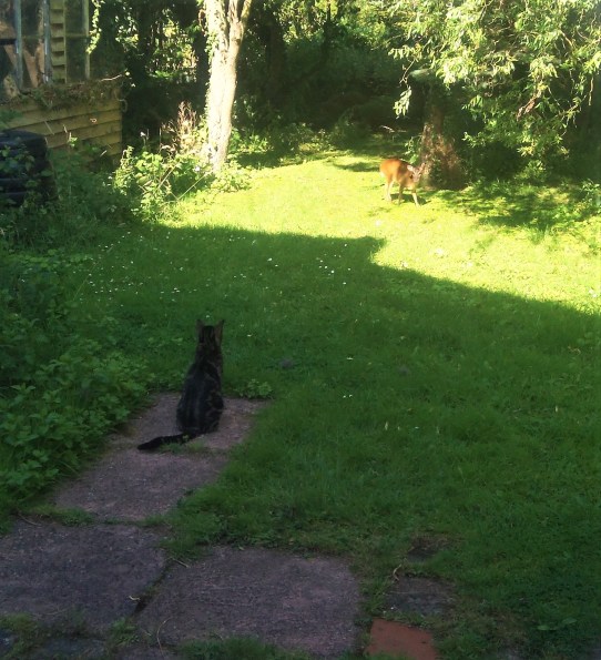 Finding the Way Day 19