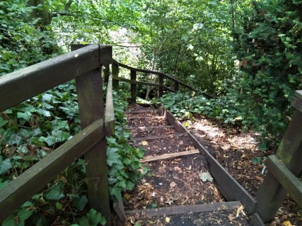 Finding the Way Day 29