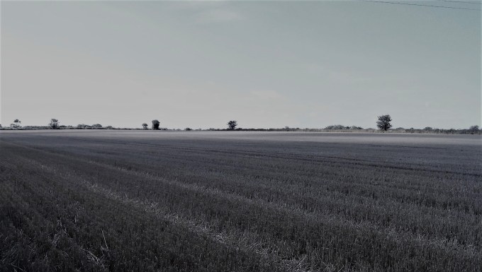 The Beauty of Flatness 2