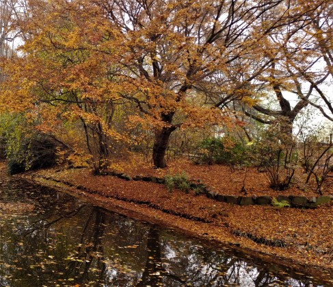 Still Life with Branches